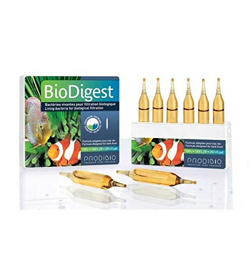 Bio Digest Batteri vivi per filtrazione biologica prodibio fialette30 pezzi