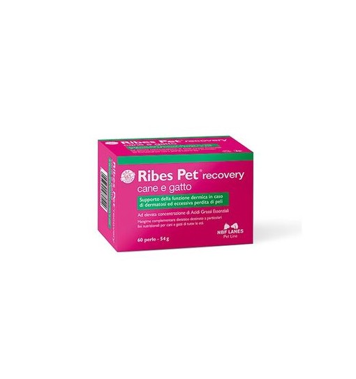 Ribes Pet Recovery cane e gatto 60 perle