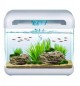 Acquario Derby Blu Bios 15 litri