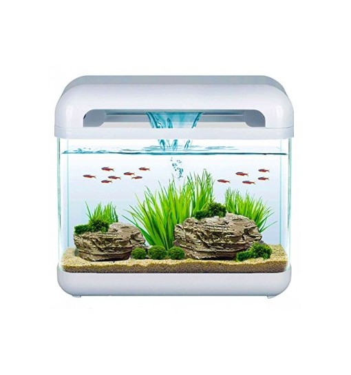 Acquario Derby Blu Bios 15 litri